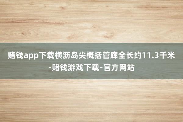 赌钱app下载横沥岛尖概括管廊全长约11.3千米-赌钱游戏下载-官方网站